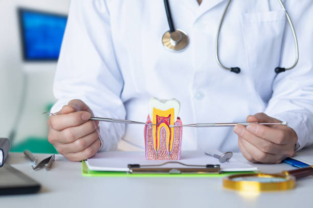 Best Urgent Care for Lost Fillings or Crowns in Virden, IL